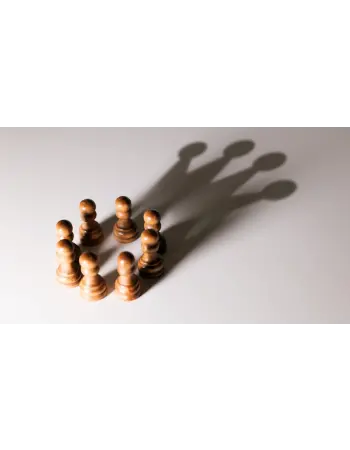 İşe Alım Yapan Firmalar 